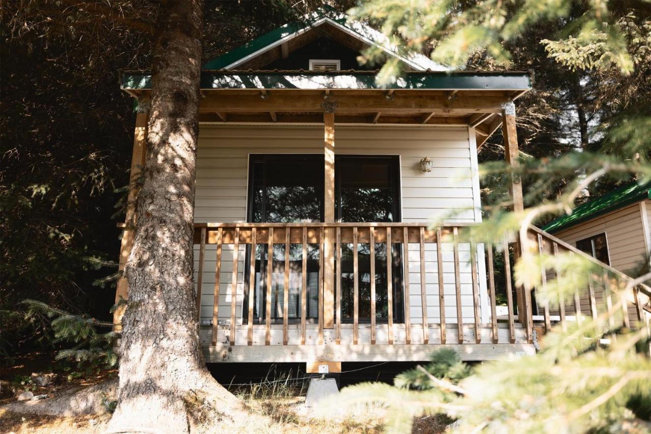 Cabin 3 Lynn View Lodge Haines Eksteriør billede