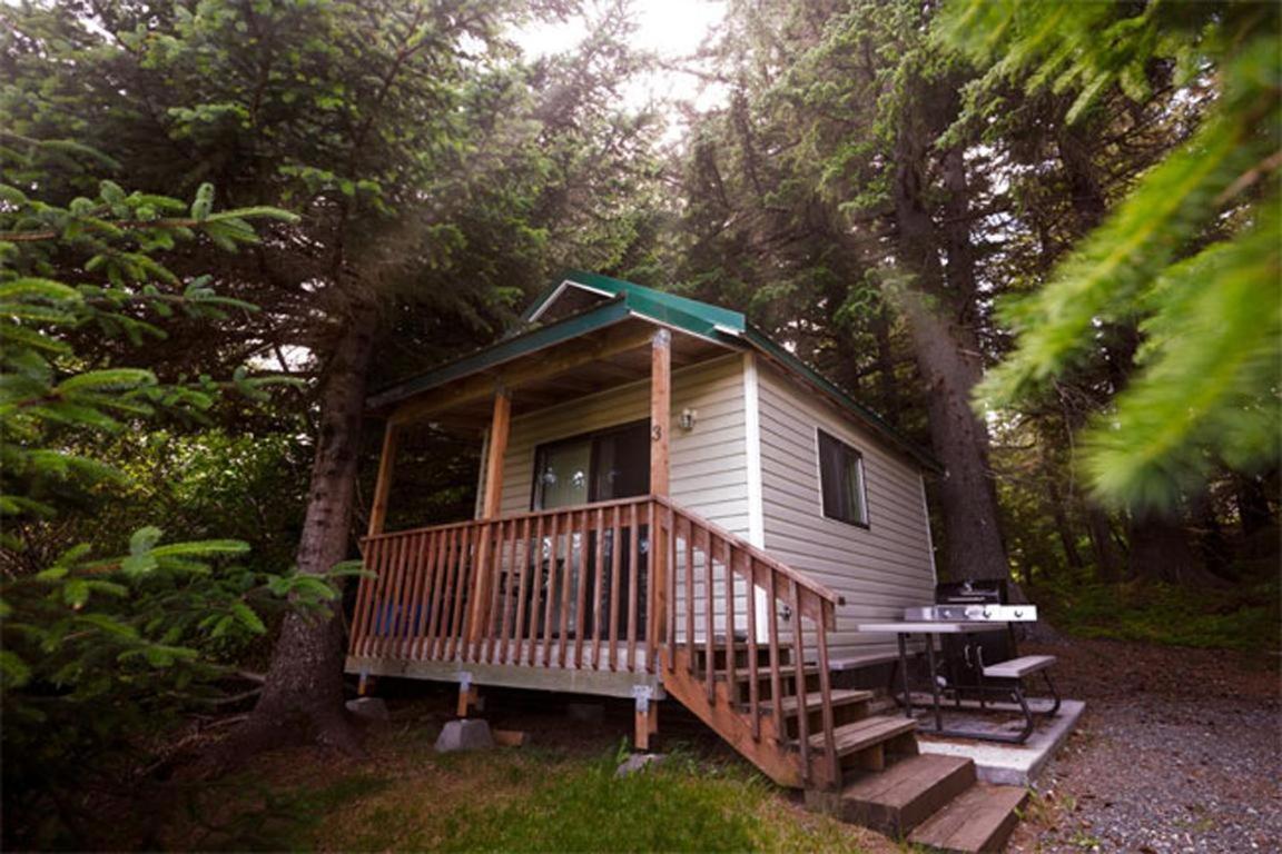 Cabin 3 Lynn View Lodge Haines Eksteriør billede
